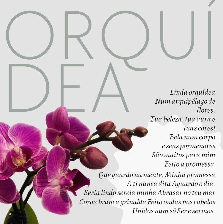 Linda orquídea
Num arquipélago de flores.
Tua beleza, tua aura e tuas cores!
Bela num corpo
e seus pormenores
São muitos para mim
Feito a promessa 
Que guardo na mente.
Minha promessa
A ti nunca dita
Aguardo o dia.
Seria lindo sereia minha
Abrasar no teu mar
Coroa branca grinalda
Feito ondas nos cabelos
Unidos num só
Ser e sermos.

~*~
JJr. 

#amor #love