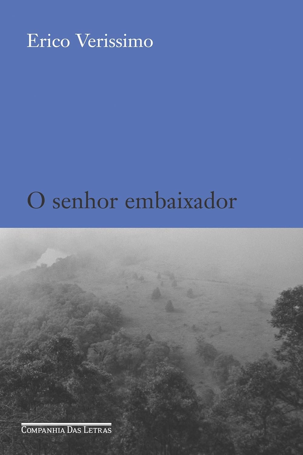 O senhor embaixador