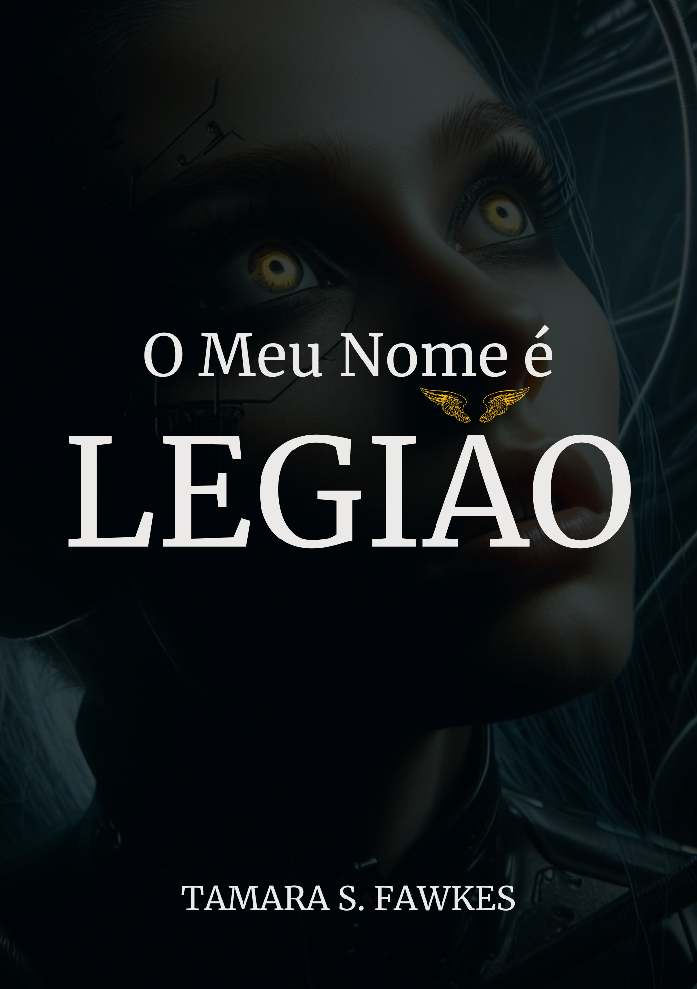 Capa do Livro