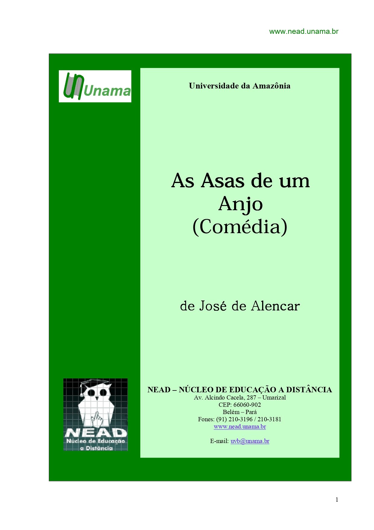 As Asas de um Anjo